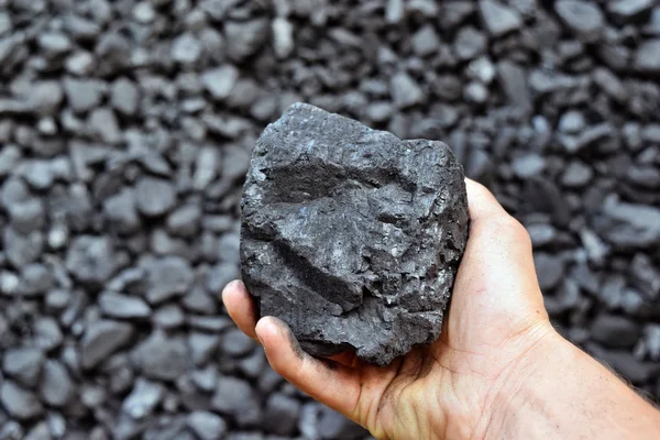 Hand of the miner shows coal in mine. Picture can be use to idea about coal mining, energy source or environment protection.