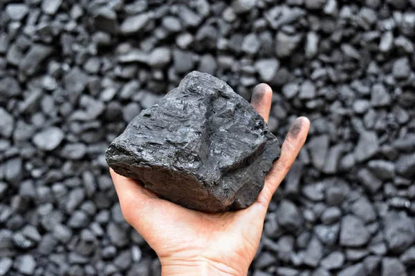 Die Hand Des Bergarbeiters Zeigt Kohle Bergwerk Bild Kann Für — Stockfoto