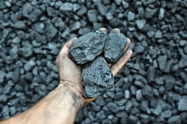矿工的手显示我的煤 图片可用于煤炭开采 能源或环境保护的理念 — 图库照片