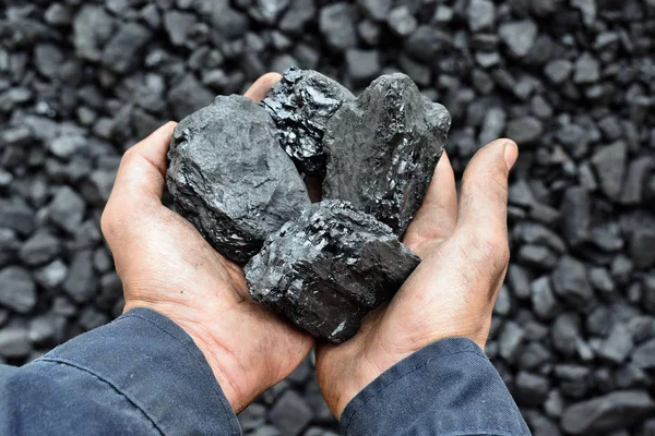 Kolen Handen Van Werknemer Mijnwerker Beeld Kan Worden Gebruikt Idee — Stockfoto