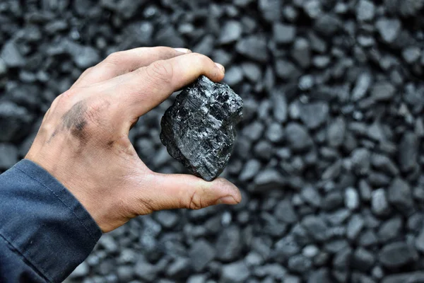 Kohle Der Hand Eines Bergarbeiters Bild Kann Für Ideen Über — Stockfoto