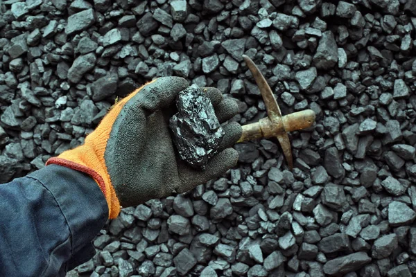 Hand of the miner shows coal in mine. Picture can be use to idea about coal mining, energy source or environment protection.