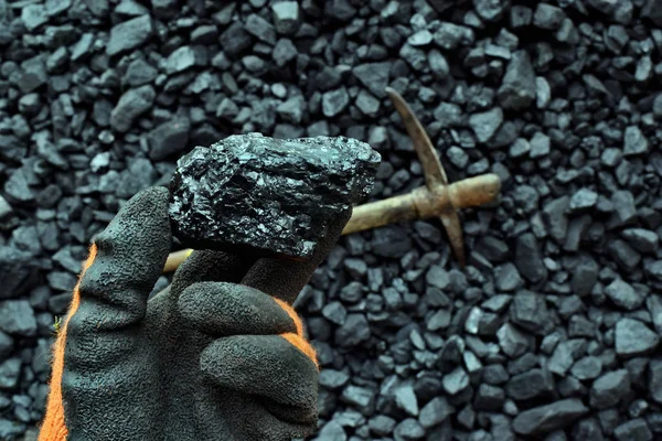 Mano Del Minero Muestra Carbón Mía Imagen Puede Ser Útil —  Fotos de Stock