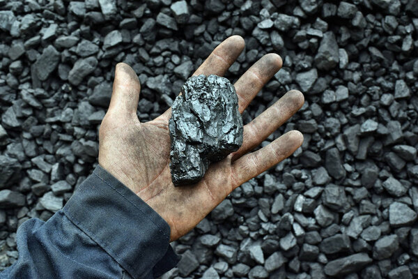 Coal in the hand of worker miner. Picture can be use to idea about coal mining, energy source or environment protection.