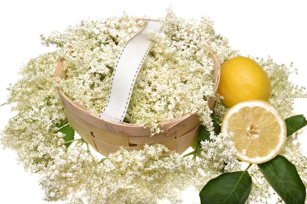 Elderflower Ahşap Sepet Beyaz Arka Plan Üzerinde Izole Limon Ile — Stok fotoğraf