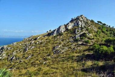 Bir görünümü Dağı nın top Puig de Sant Alcudia, Mallorca Marti