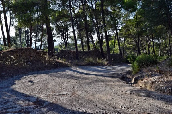 Road Track Wandeling Naar Top Van Berg Puig Sant Marti — Stockfoto