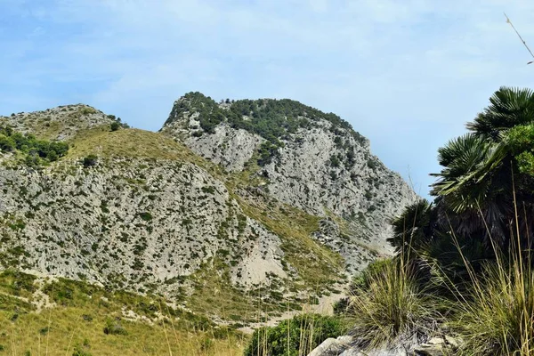 Tepeler Dağlar Görünümünü Formentor Deniz Feneri Mallorca Spanya Için Yolda — Stok fotoğraf