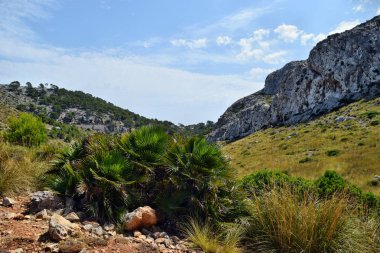 Tepeler ve dağlar görünümünü Formentor deniz feneri Mallorca, İspanya için yolda