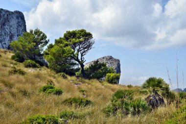 Tepeler ve dağlar görünümünü Formentor deniz feneri Mallorca, İspanya için yolda