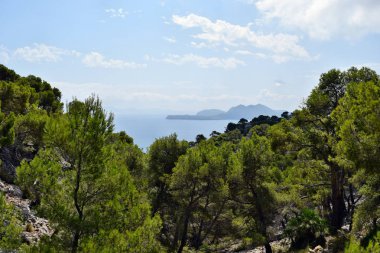  Güzel deniz Körfezi ve Cap Formentor, Mallorca İspanya dağlardaki