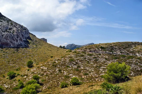 Pohled Kopce Hory Cestě Maják Formentor Mallorca Španělsko — Stock fotografie