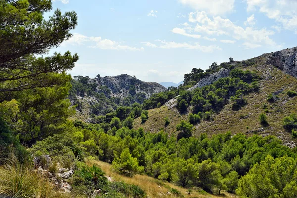 Veduta Delle Colline Delle Montagne Sulla Strada Faro Formentor Maiorca — Foto Stock