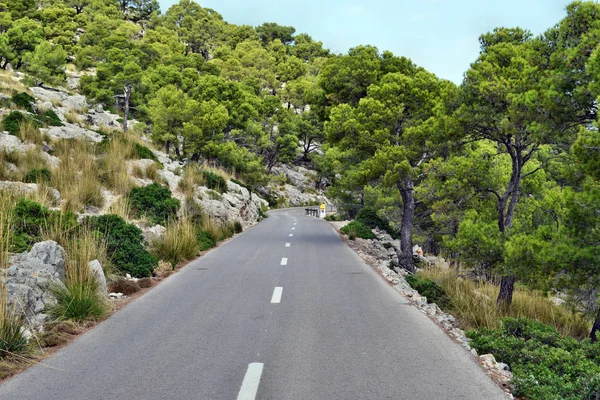 Açık sahil yolu deniz fenerine doğru dönüyor Kaptan Formentor, Mallorca, İspanya 