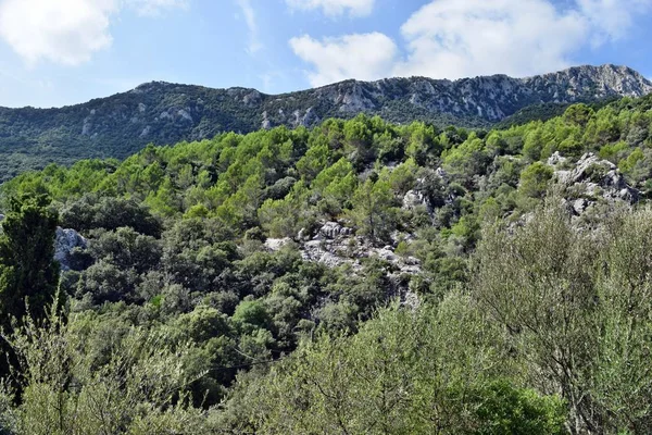 Mallorca Spanya Calobra Giderken Lluc Dağları Nın Görünümü — Stok fotoğraf