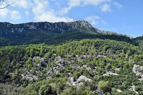 Vue Sur Les Montagnes Lluc Sur Chemin Calobra Majorque Espagne — Photo