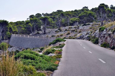 Açık sahil yolu ile deniz fenerine Cap Formentor sarma