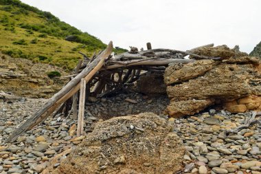 Cala Figuera, Mallorca düşmüş dallarında ilkel ormanda bir kulübe sığınak yapılmış