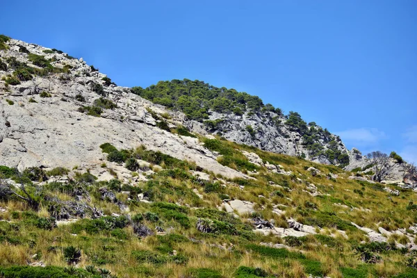 Vista de la ladera de la montaña en el camino al Faro de Formentor —  Fotos de Stock