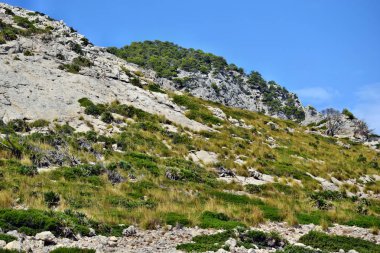 Dağ tarafı görünümünü Formentor deniz feneri giderken