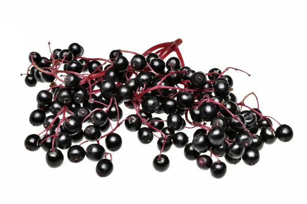 Fresh black elderberry  fruit isolated — Stock Photo, Image