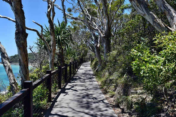 Chemin forestier avec un paysage océanique incroyable au parc national de Noosa — Photo