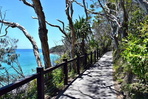 Camino del bosque con un paisaje oceánico increíble en el Parque Nacional Noosa — Foto de Stock