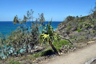 Inanılmaz bir kıyı şeridi Noosa Milli Parkı