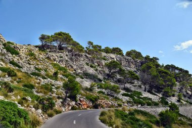 Açık sahil yolu ile deniz fenerine Cap Formentor sarma