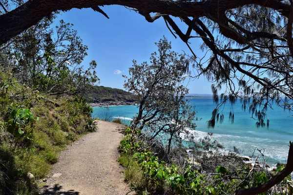 Forest way trail with an amazing ocean scenery at Noosa National Park — Stock Photo, Image
