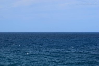 Noosa Milli Parkı'nda inanılmaz bir okyanus