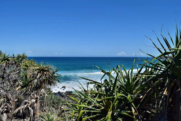 Un parc national incroyable de la baie d'Alexandrie Noosa — Photo