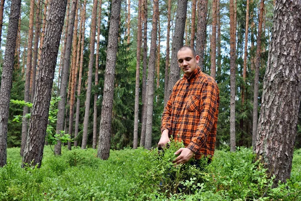 Young Man Collects Blueberries Special Comb Forest — Stock Photo, Image