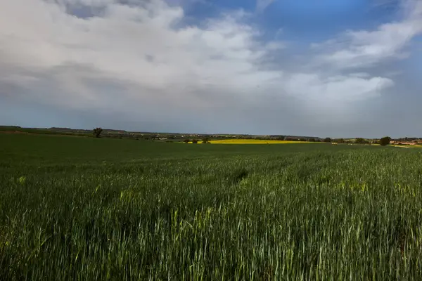 Green Fields Clouds — Stock Photo, Image