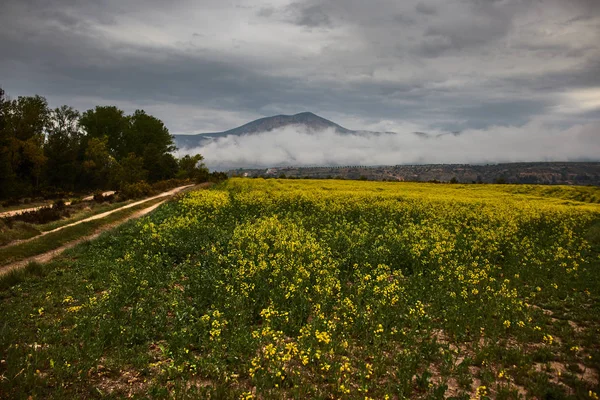 Campo Verde Amarillo Con Montaña — Foto de Stock