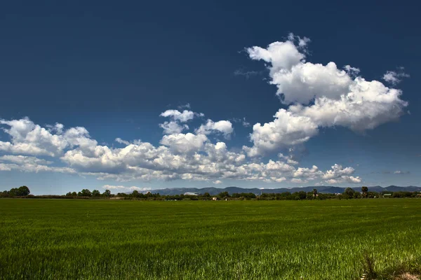 Green country landscape and blue sky with clouds.