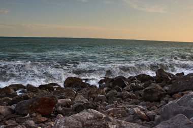 Kayalık kıyıya çarpan dalgalar