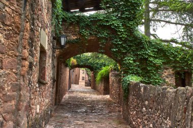 Küçük bir köyün kaldırım taşı caddesi.