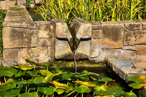 Kamenná Fontána Rybníku — Stock fotografie