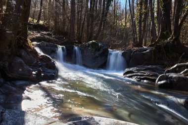 Ormandaki bir nehrin kayalarının arasında şelale.