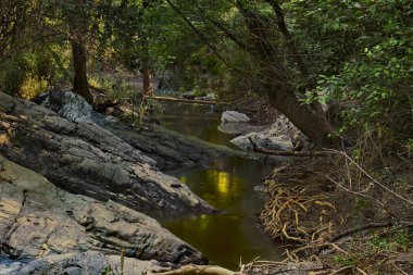 Gün batımında ormanın ortasındaki nehir