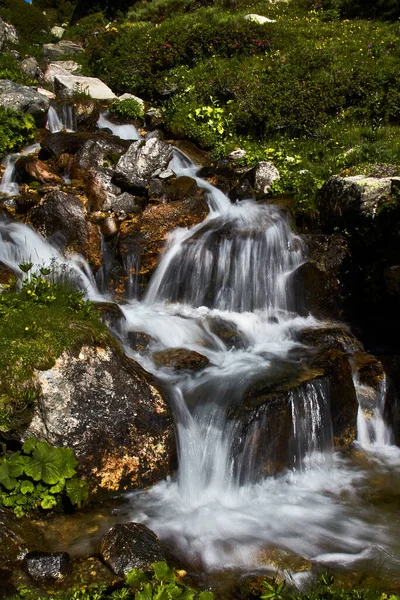 Vattenfall Flod Skogen Stockfoto