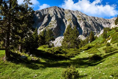 Köknar ormanlı Rocky dağı ve bulutlu gökyüzü.