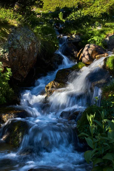 Fluss Zwischen Wald Und Wasserfällen Stockbild