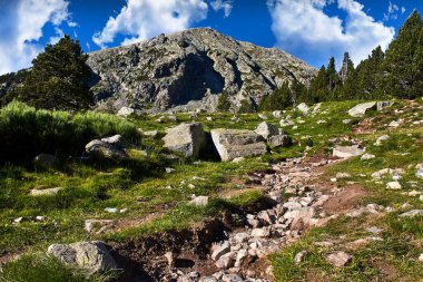 Köknar ormanlı Rocky dağı ve bulutlu gökyüzü