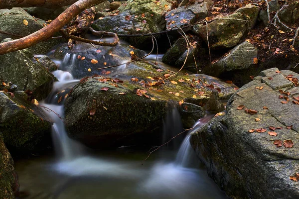 Řeka Teče Mezi Mechem Naplněnými Skalami — Stock fotografie