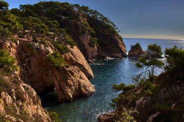 Kayalık kıyı manzarası, çam ormanları tarafından taçlandırılmış uçurumlar, sakin bir mavi denizle sona eriyor.