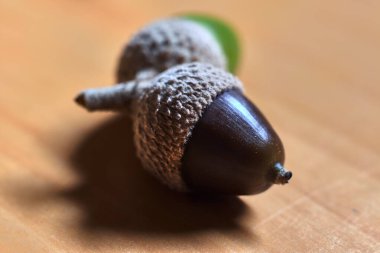 Kahverengi ve yeşil meşe palamutları, kabukları, ahşap bir masanın üzerinde.