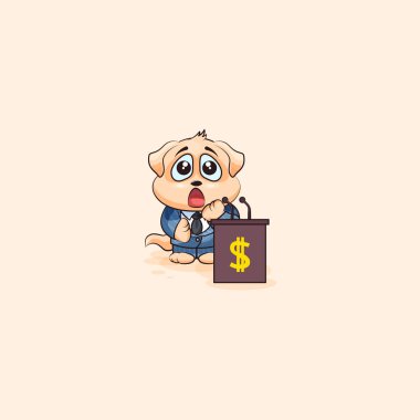 köpek yavrusu eğitim sunumu podyum arkasında