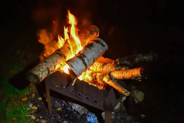 burning birch firewood in the grill at night
